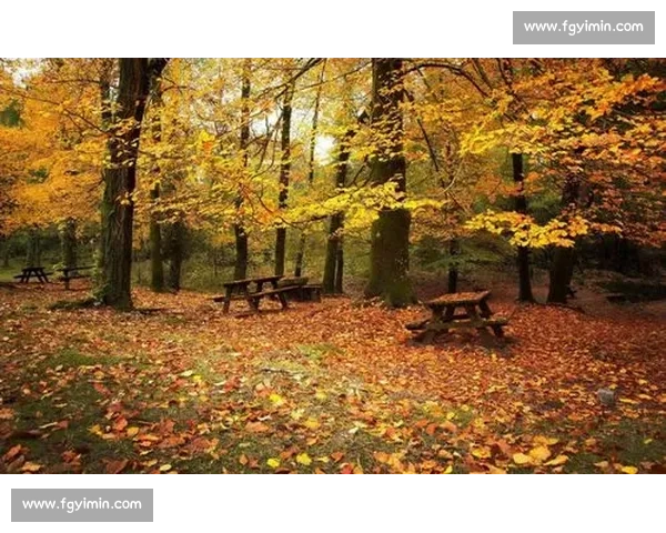 冠军之夜，星光闪耀！F1冠军庆典，致敬那些永不言败的灵魂！
